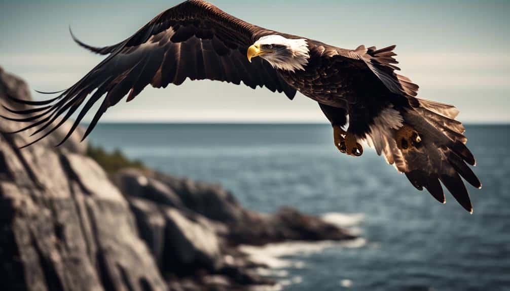 bald eagles coastal hunters