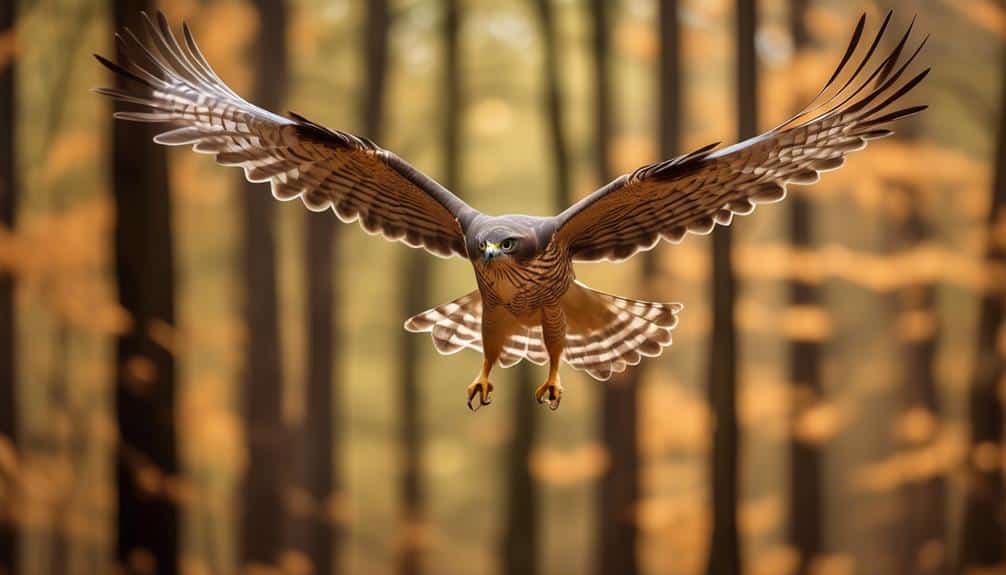 majestic agile cooper s hawk